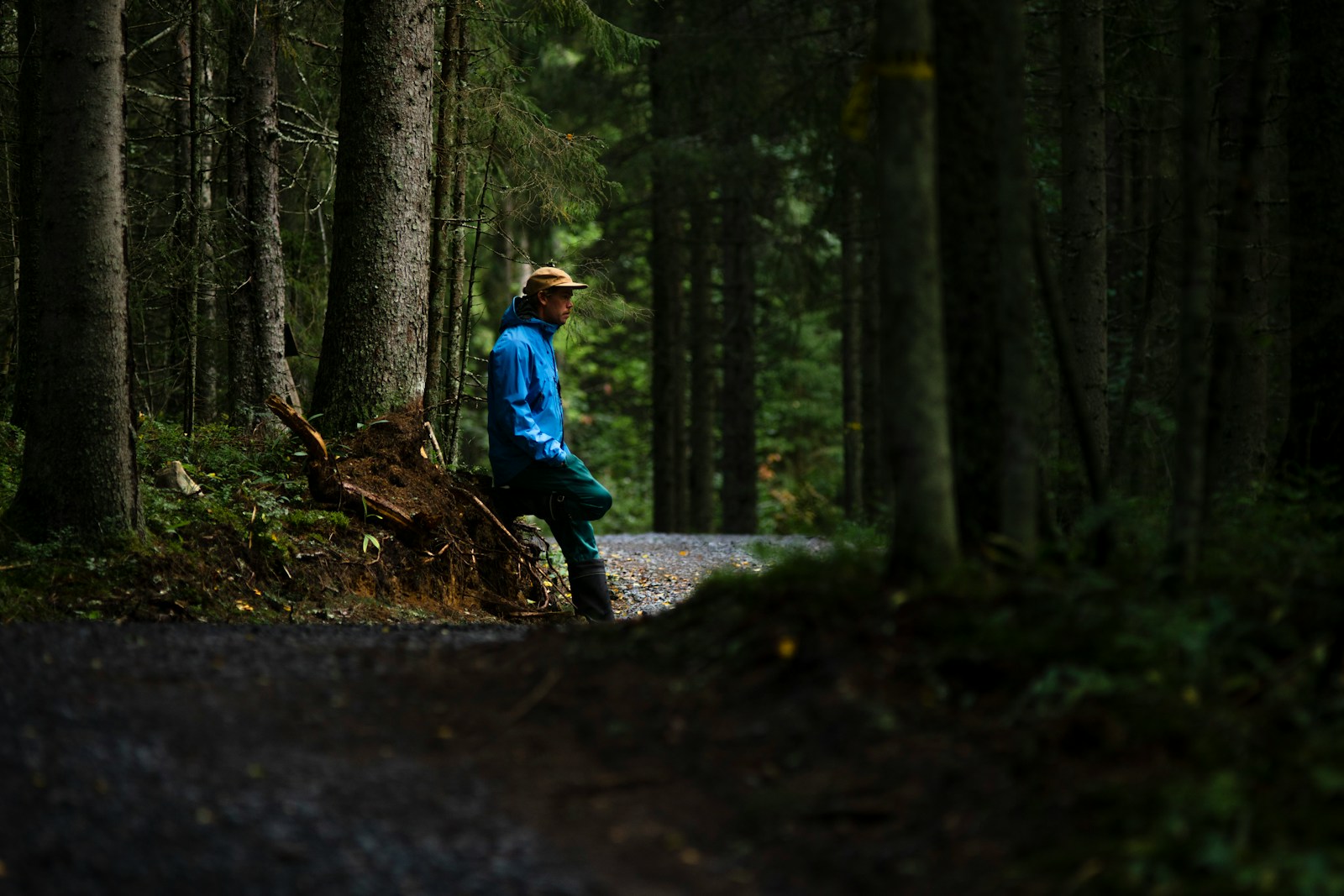 man in blue jacket and blue denim jeans standing on forest during daytime